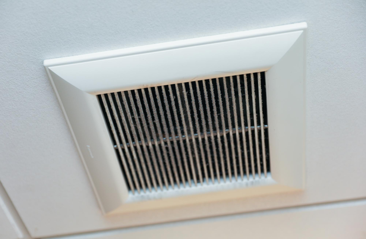 Musty Odor in Your South Florida Home? Time for an HVAC Mold Inspection